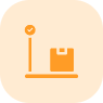 icon fast